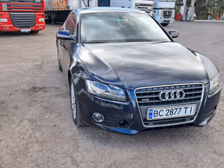 Фото 1