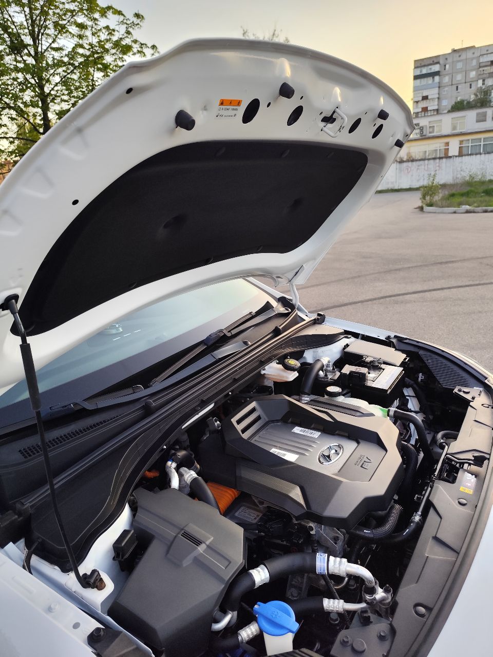 Hyundai IONIQ - фото 10