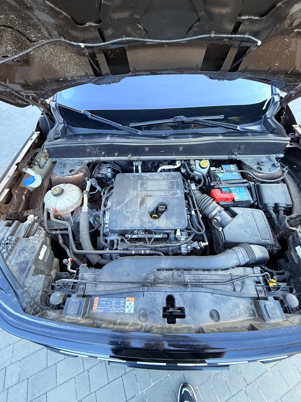 Ford Bronco Sport - фото 38