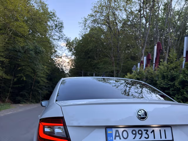 Skoda Octavia 2019, Ужгород, $14 900 - зображення 4