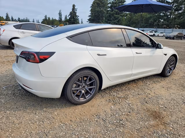 Tesla Model 3 2023, Зимняя вода, $16 900 - изображение 3