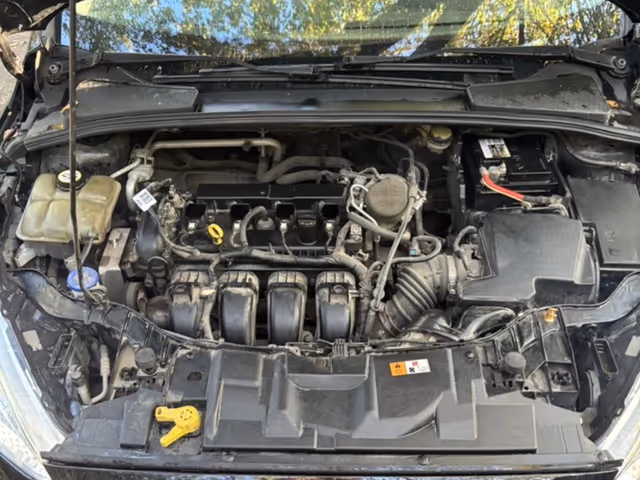 Ford Focus 2016, Kyiv (city), $7 000 - image 5