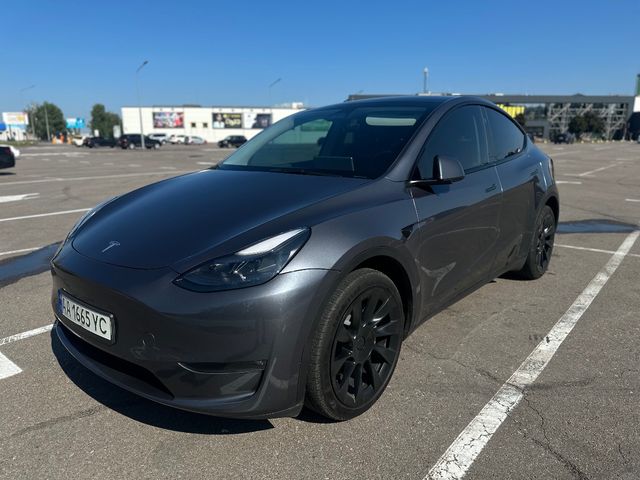 Tesla Model Y - фото 1