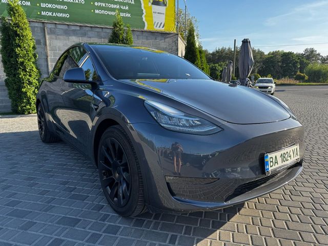 Tesla Model Y - зображення 1