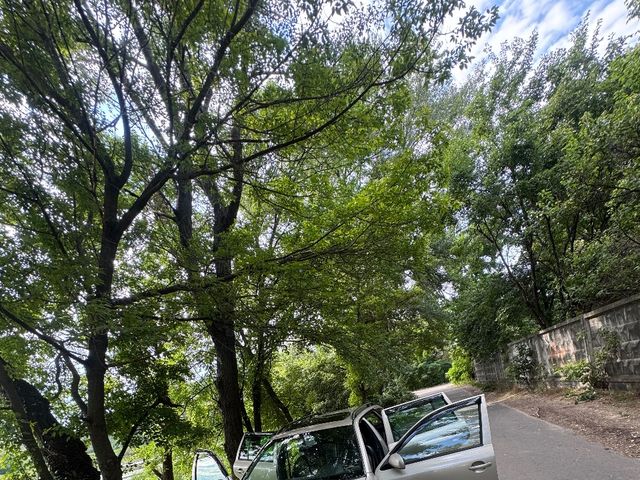 Skoda Octavia - фото 1