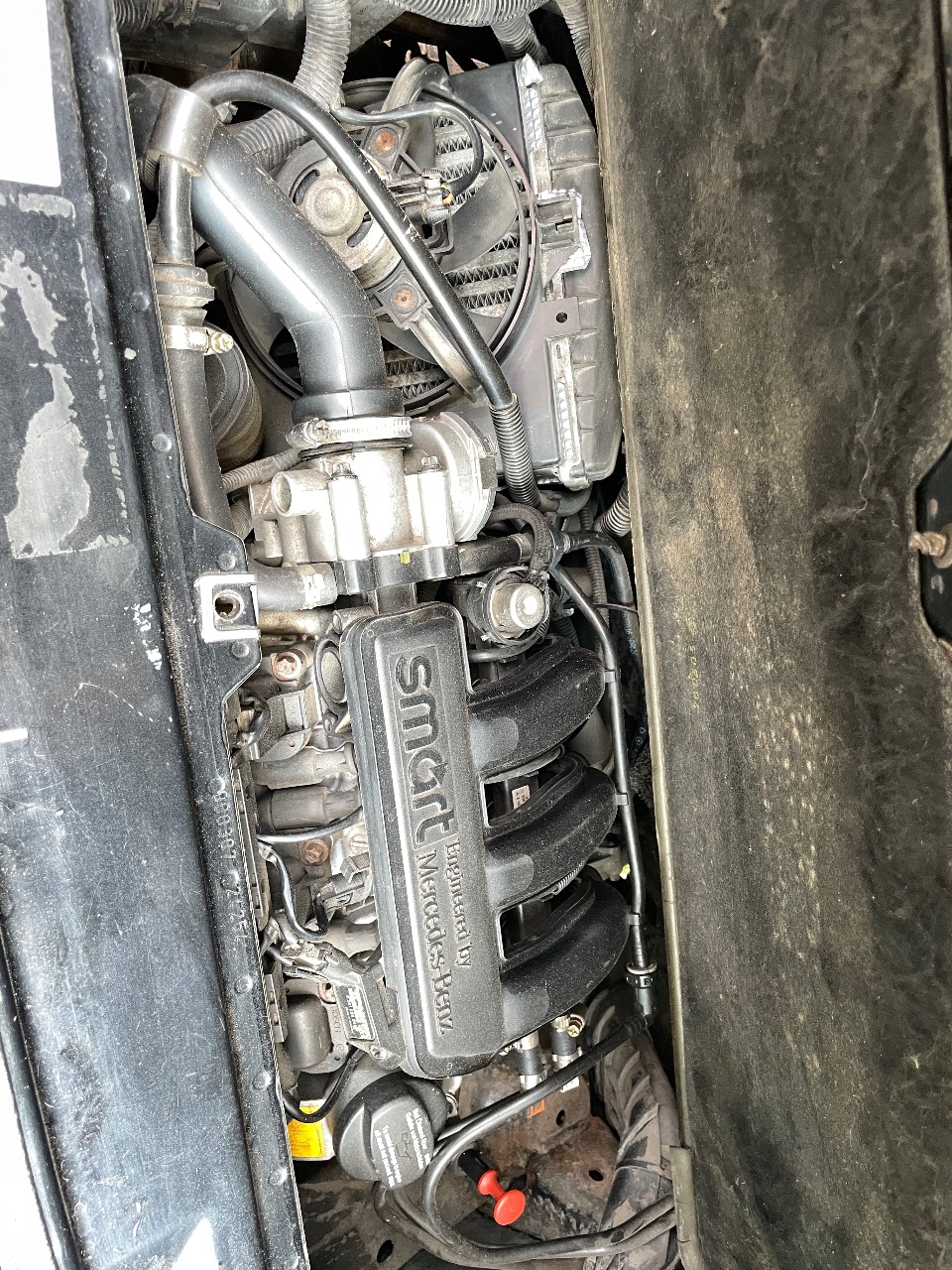 Smart Fortwo - фото 8