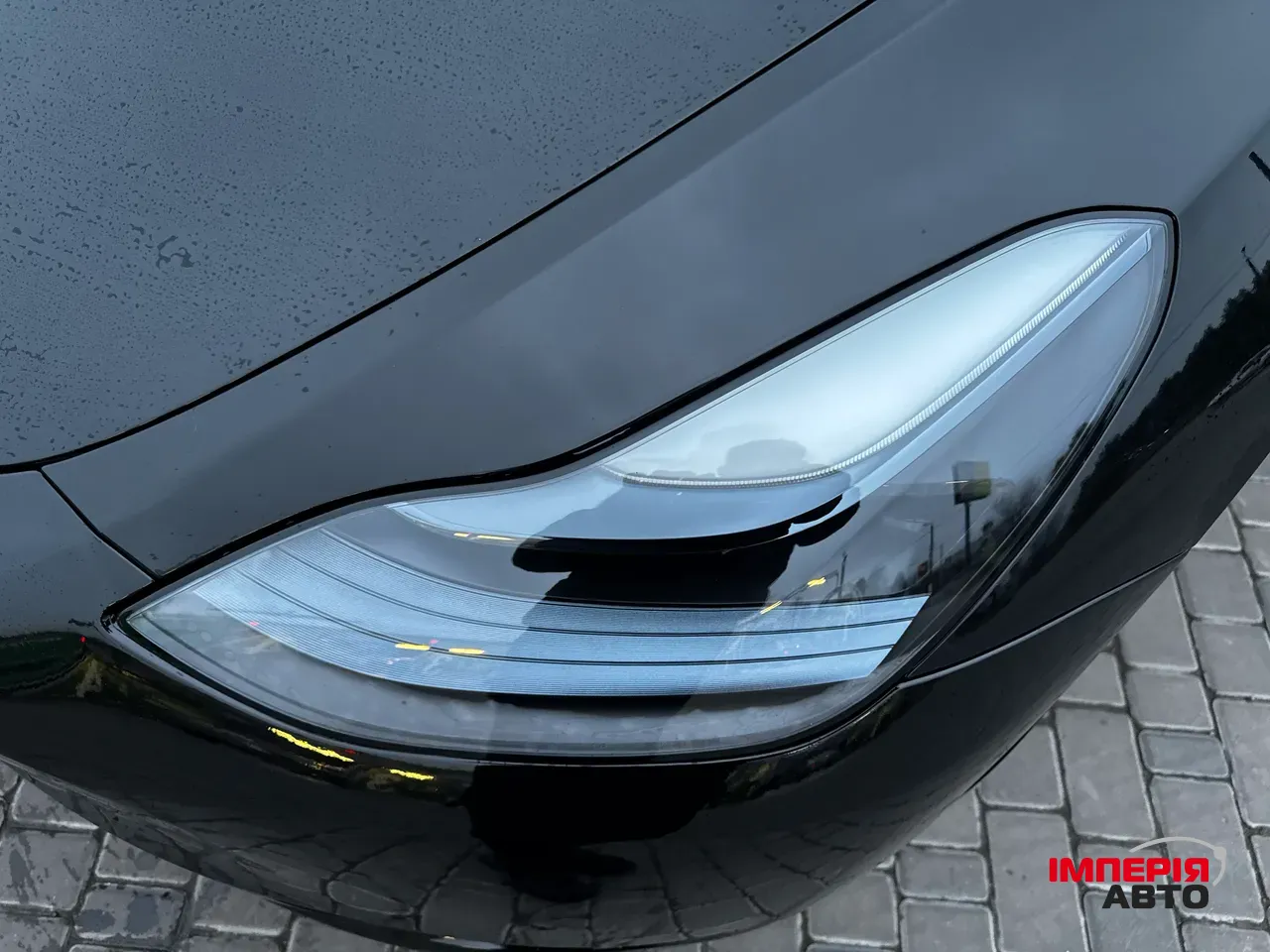 Tesla Model Y - фото 47