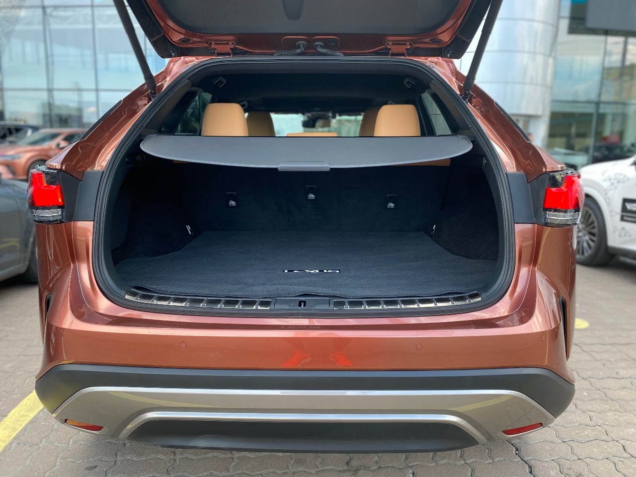 Lexus RX - фото 15