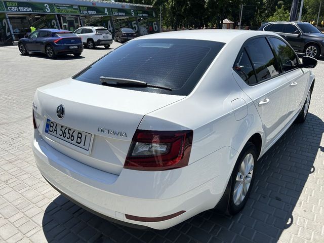 Skoda Octavia 2017, Кропивницький, $14 999 - зображення 3