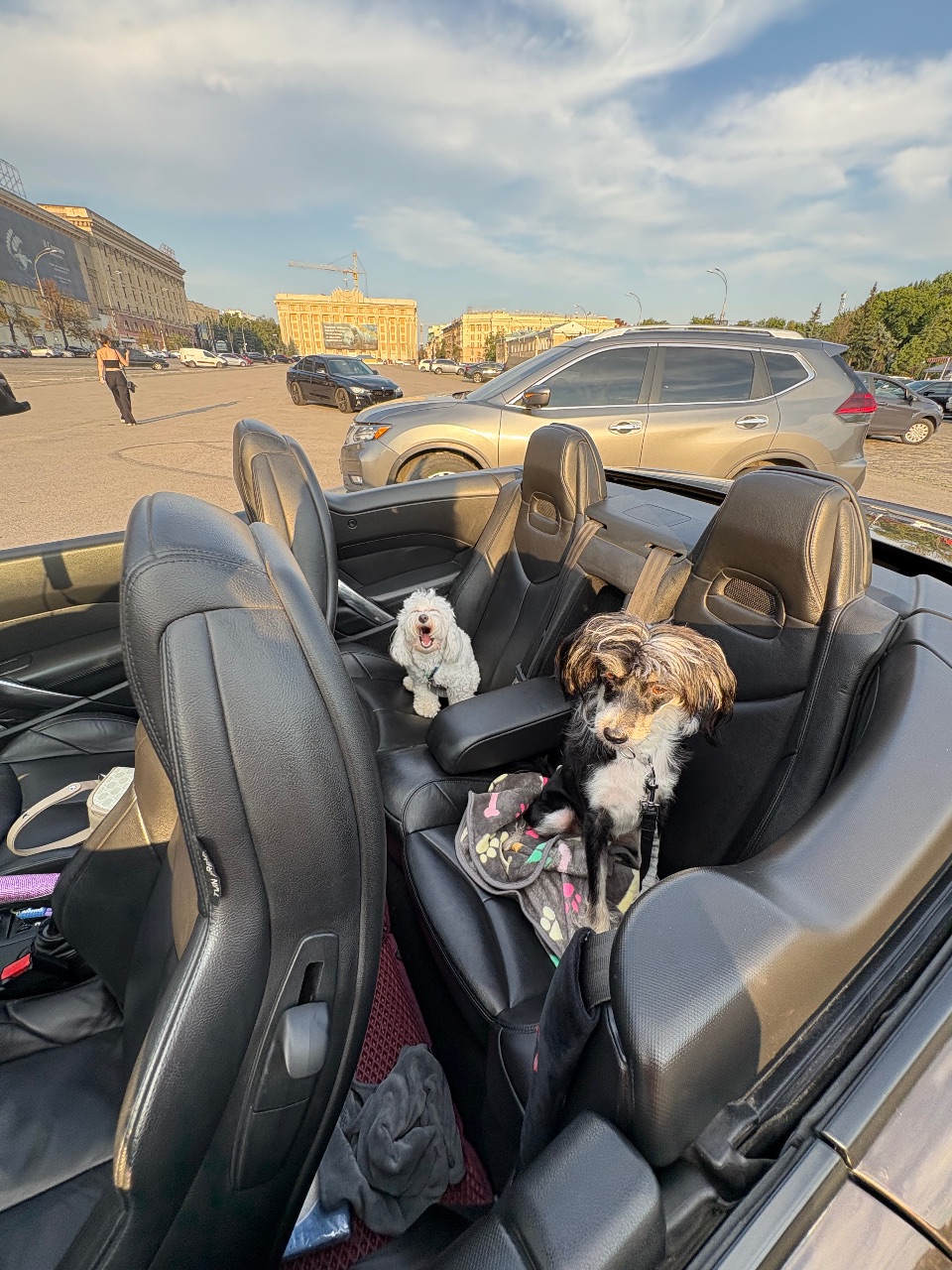 Peugeot 308 - фото 12