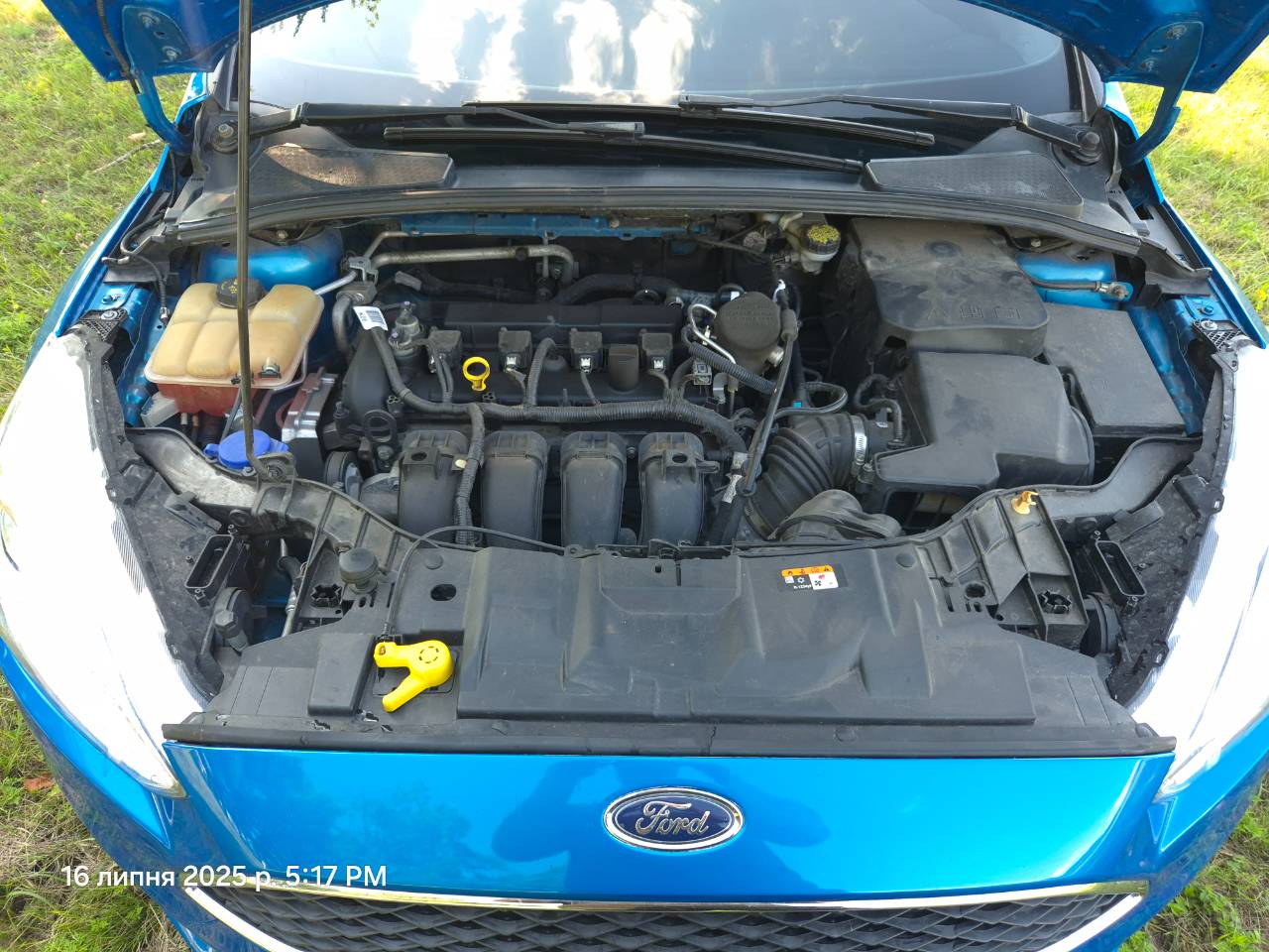 Ford Focus - фото 8