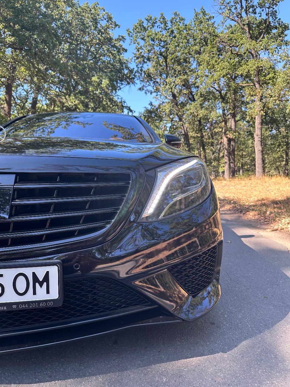 Mercedes-Benz S-Класс - фото 12