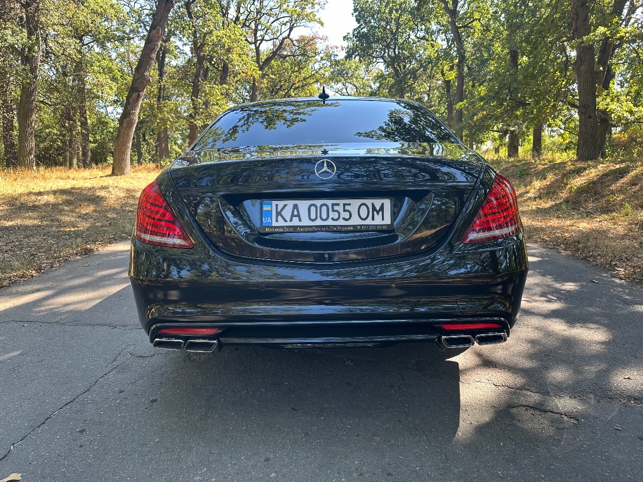Mercedes-Benz S-Класс - фото 38