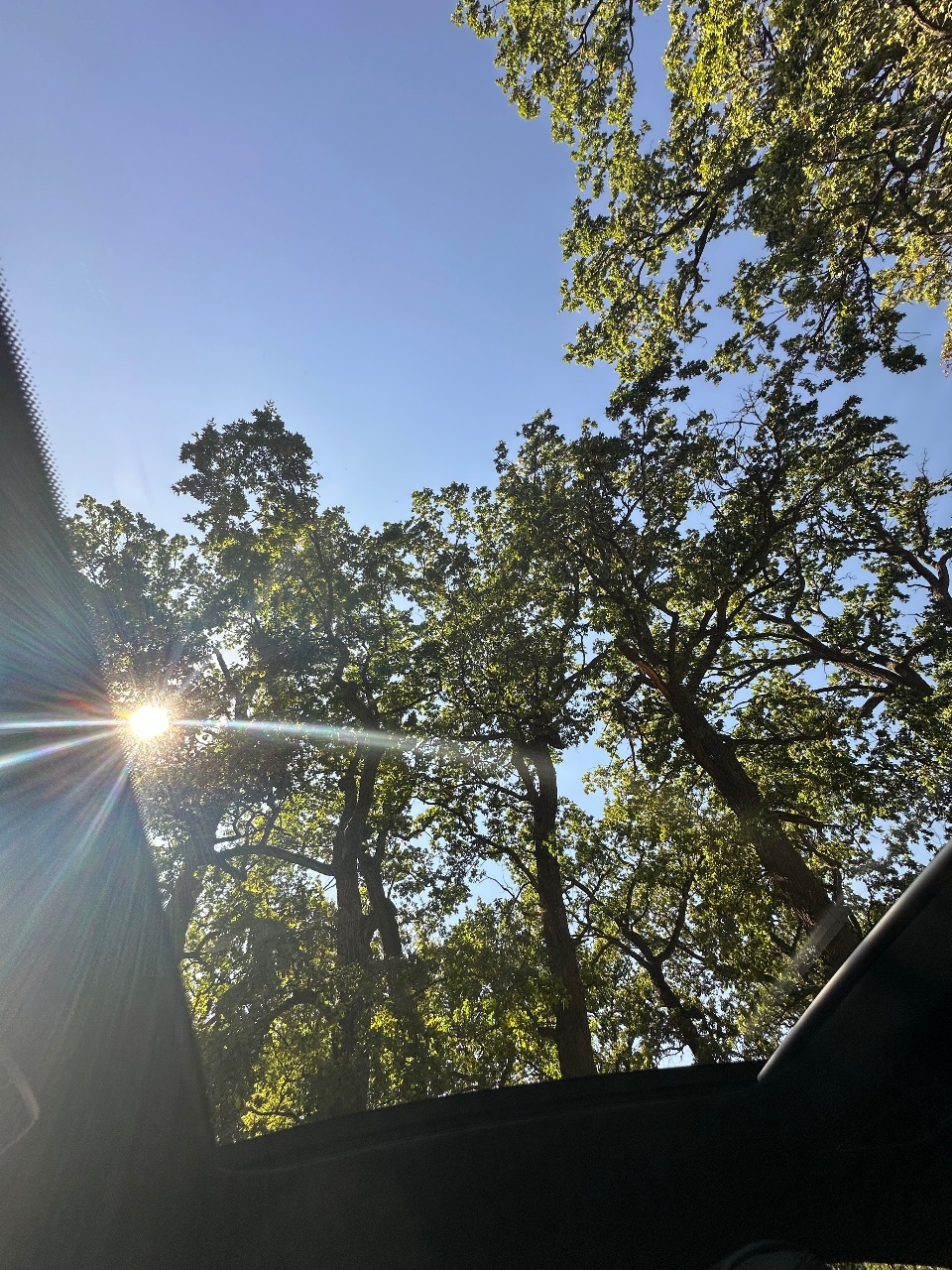 Mercedes-Benz S-Класс - фото 9