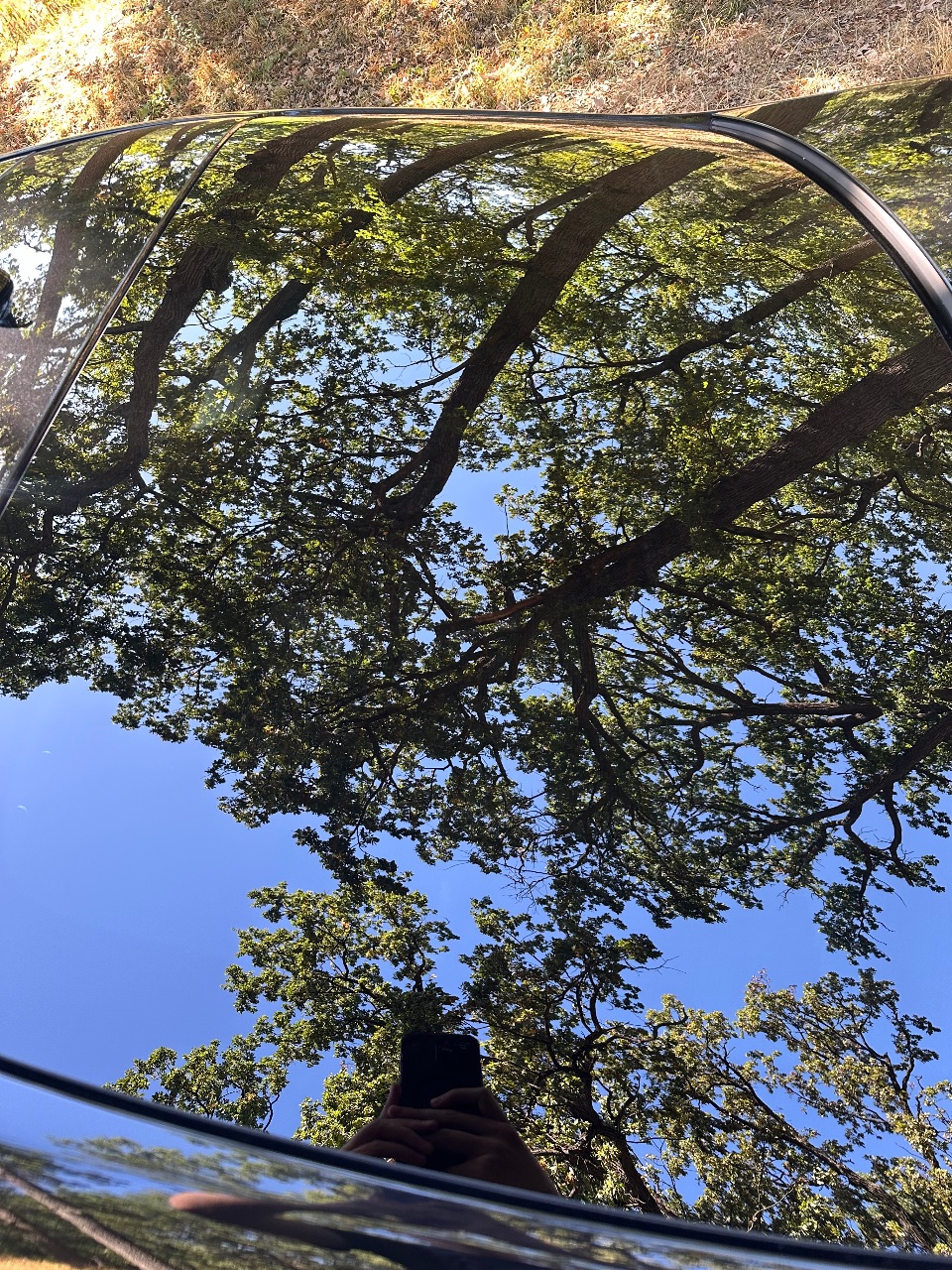 Mercedes-Benz S-Класс - фото 25