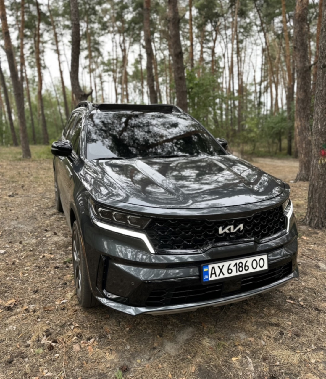 Kia Sorento - фото 1