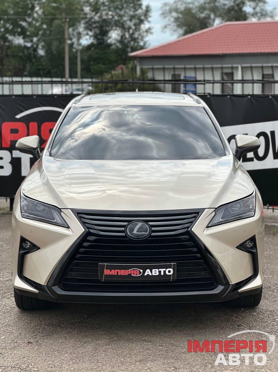 Lexus RX - фото 4