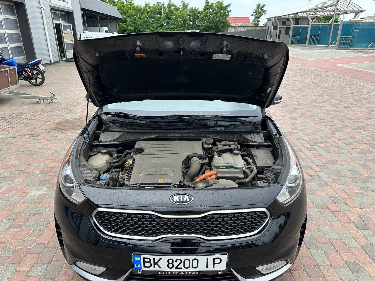 Kia Niro - фото 9