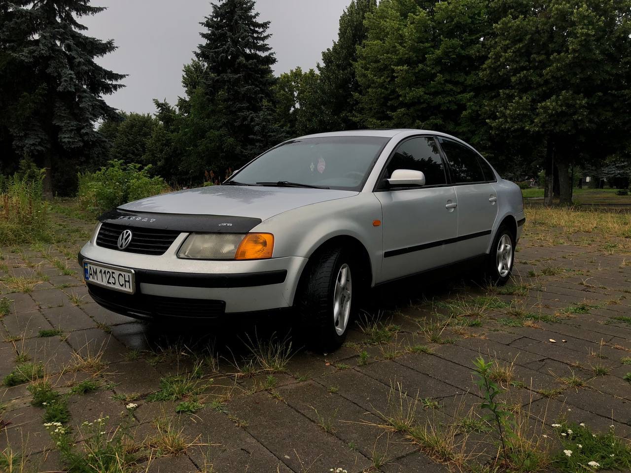 Volkswagen Passat - фото 15