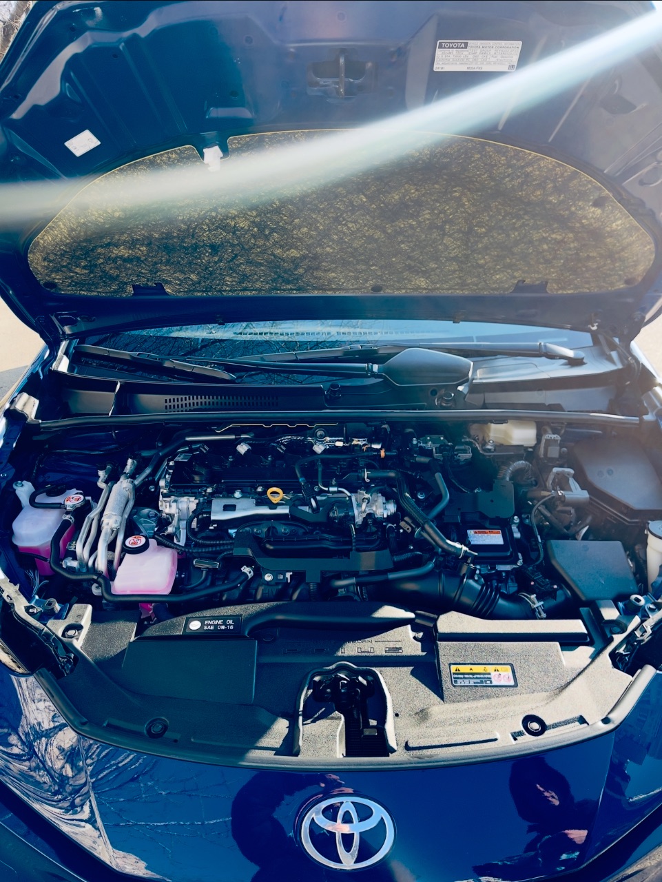 Toyota Prius - фото 10