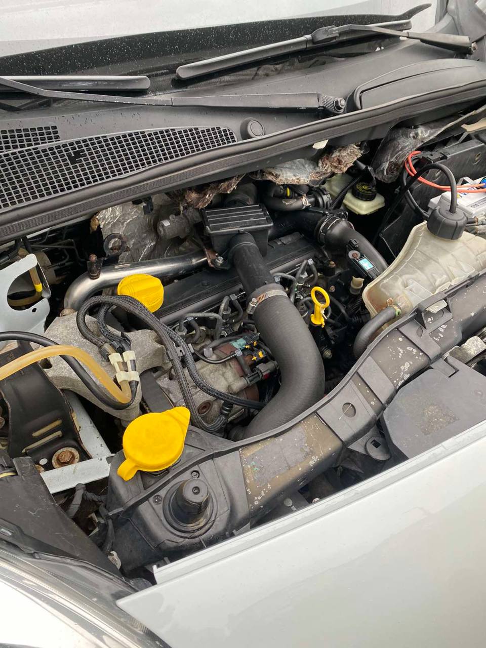 Renault Kangoo - фото 16