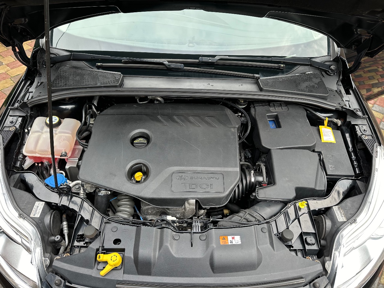 Ford Focus - фото 14