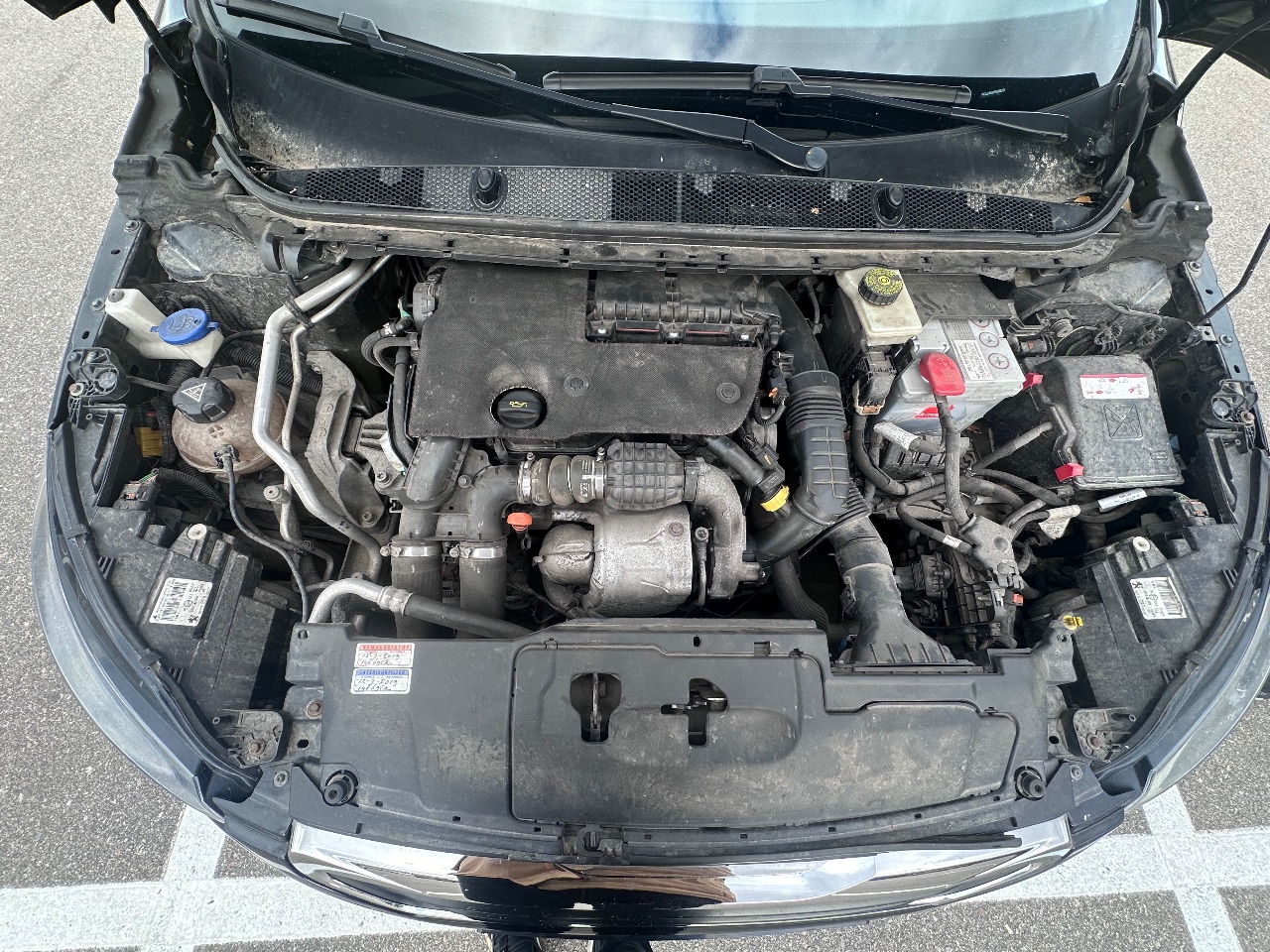 Peugeot 308 - фото 3