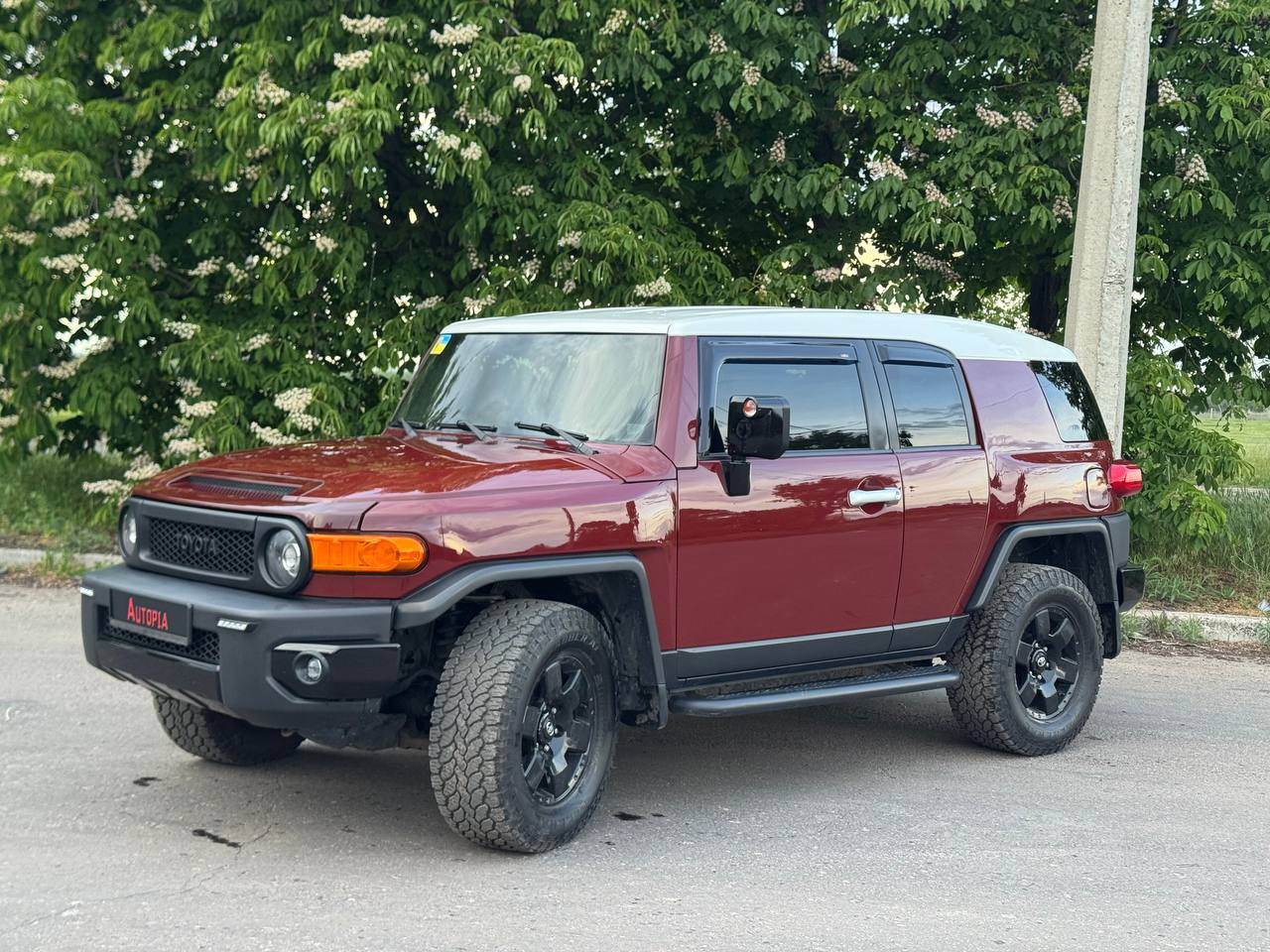 Toyota FJ Cruiser - фото 3