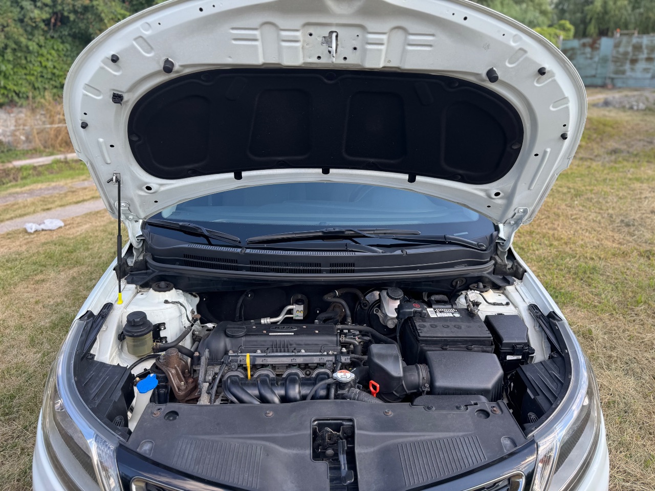 Kia Rio - фото 5