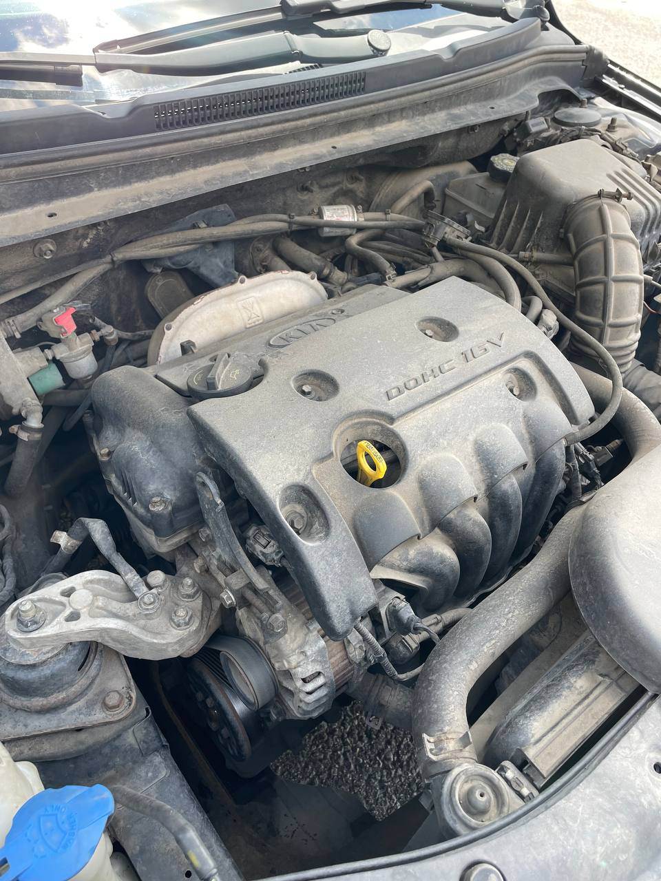 Kia Ceed - фото 27