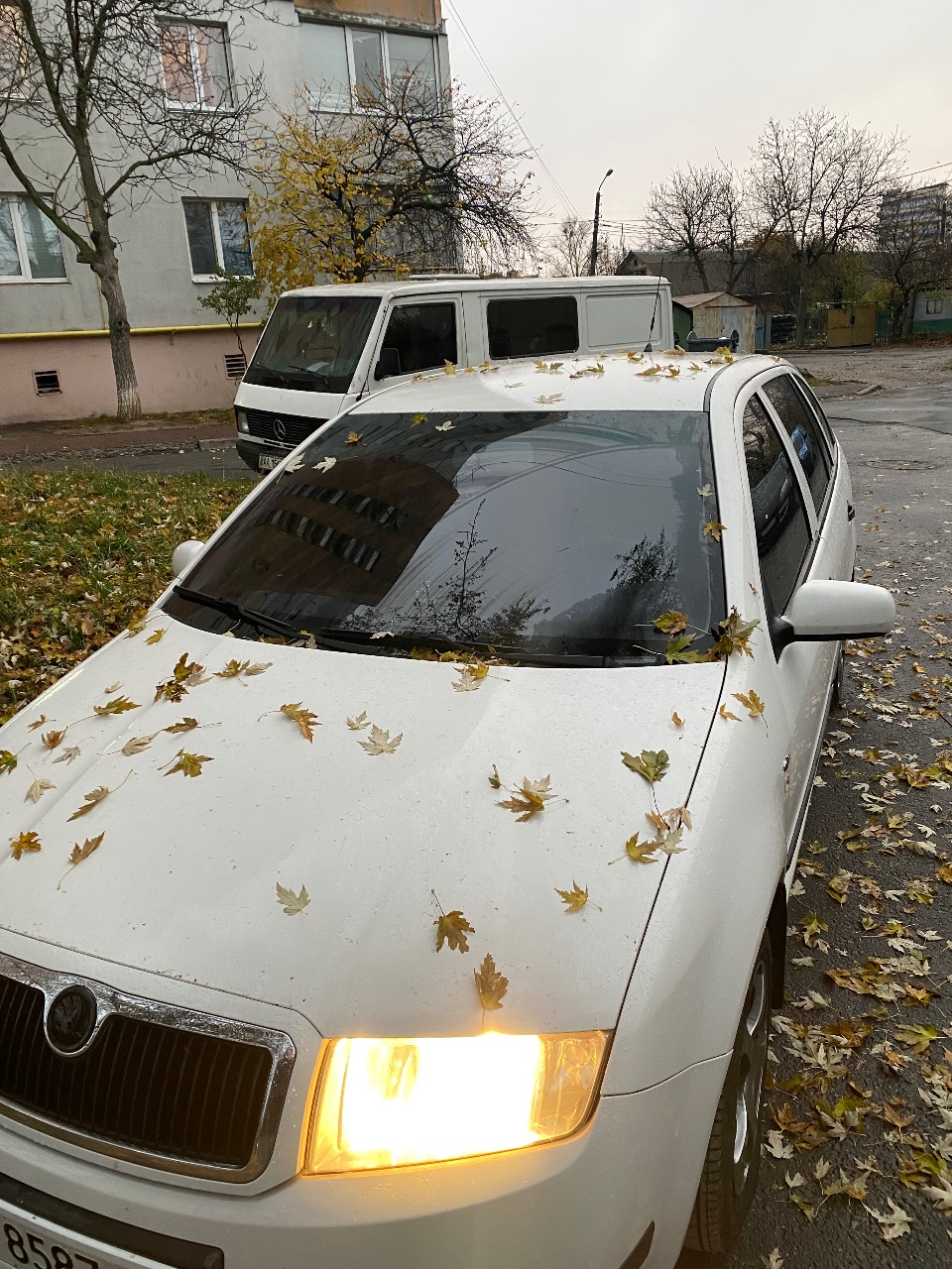 Skoda Fabia - фото 2