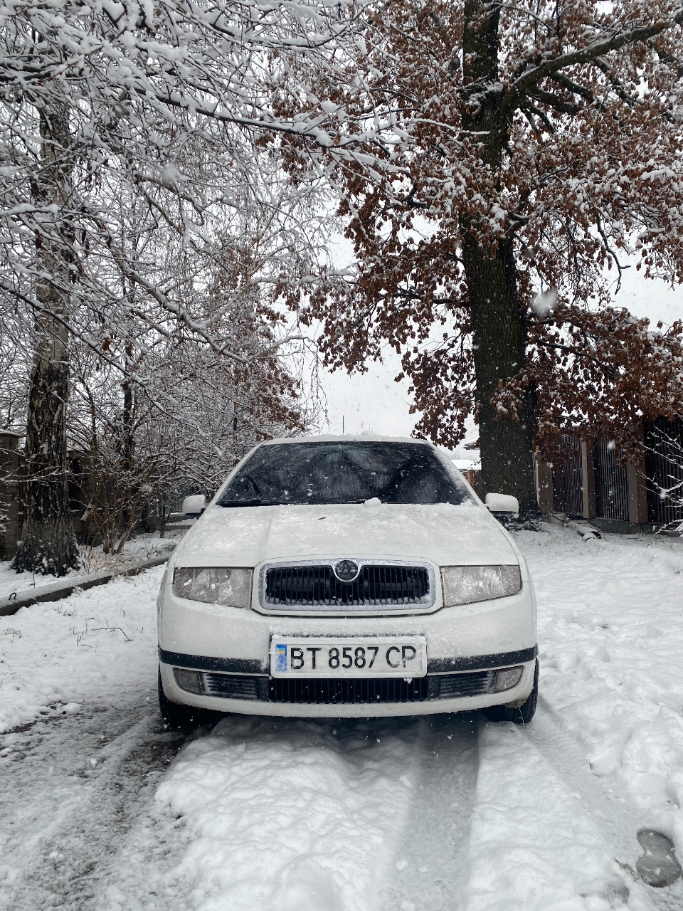 Skoda Fabia - фото 1