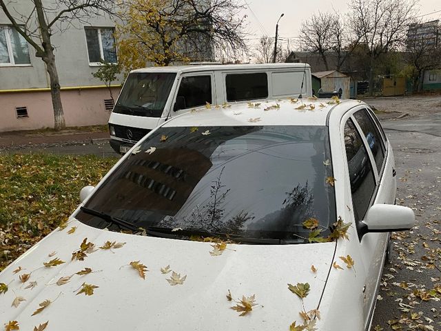 Skoda Fabia - фото 2