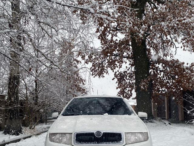 Skoda Fabia - фото 1