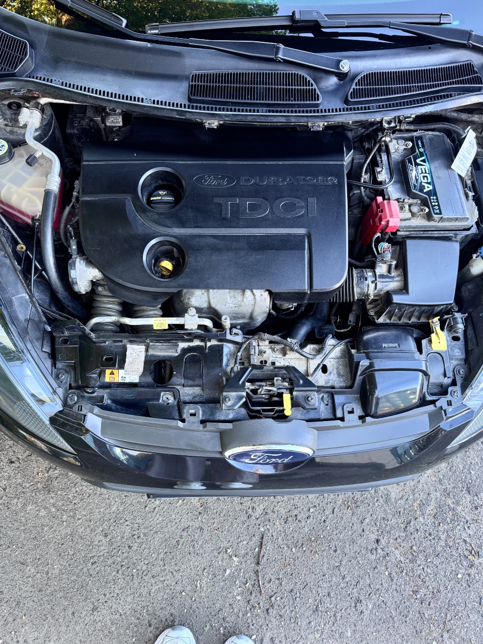 Ford Fiesta - фото 3