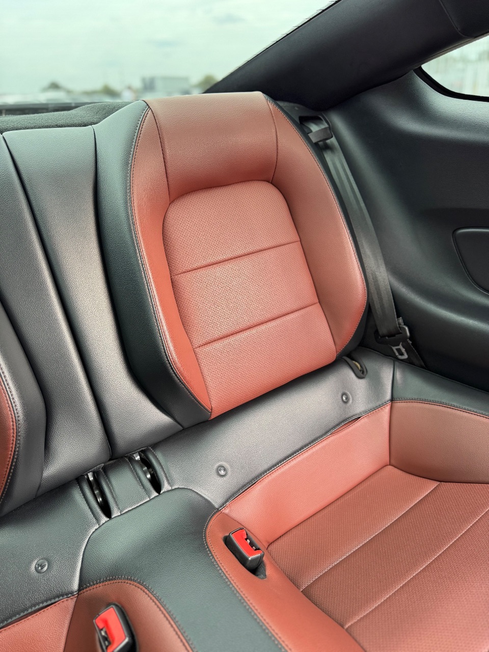 Ford Mustang - фото 13