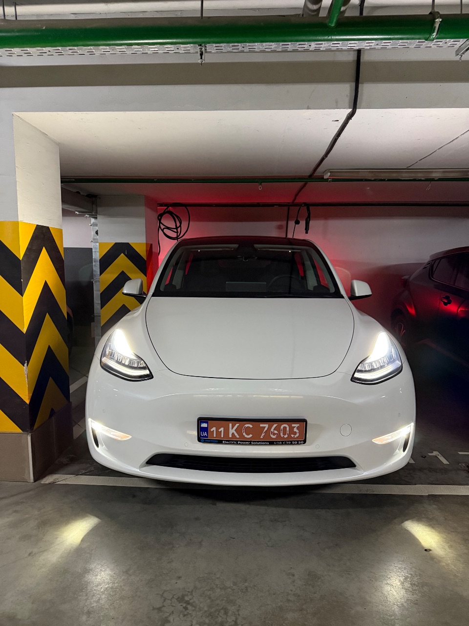 Tesla Model Y - фото 2