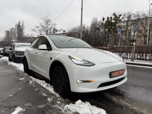 Tesla Model Y - фото 1