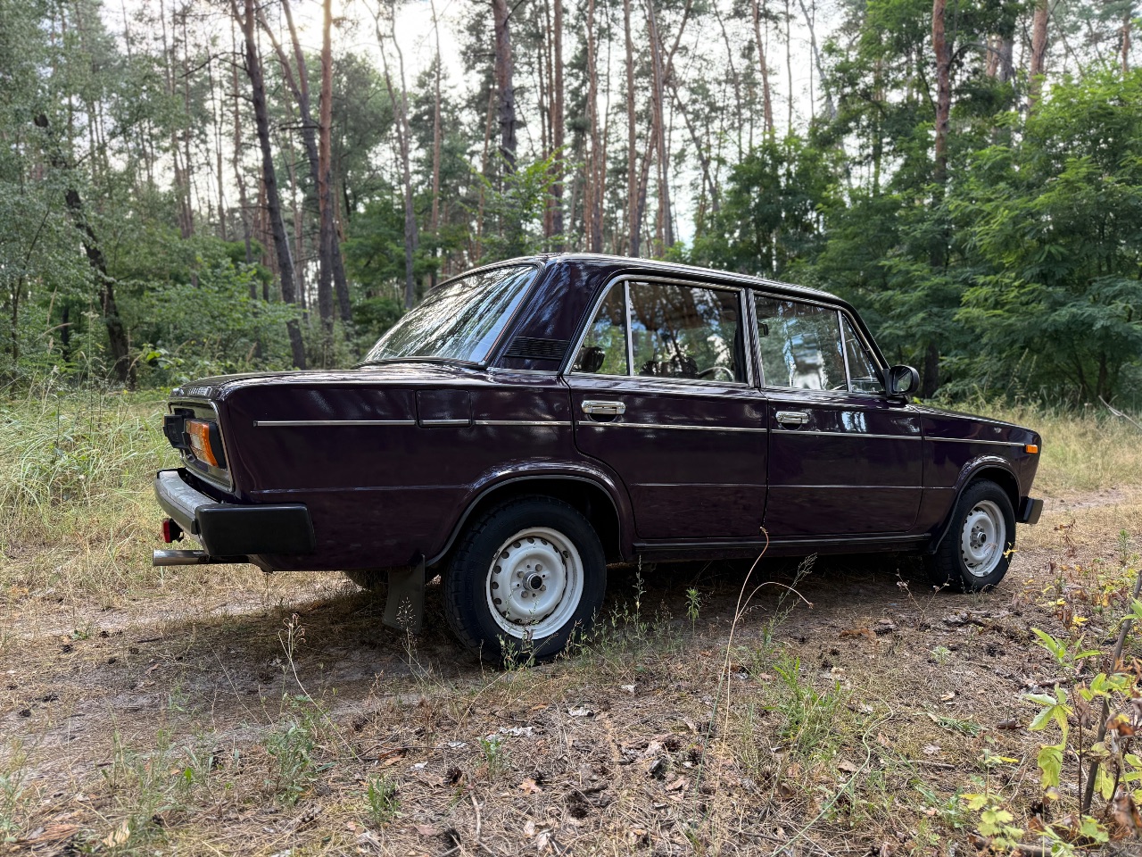 Lada (ВАЗ) 2106 - фото 2