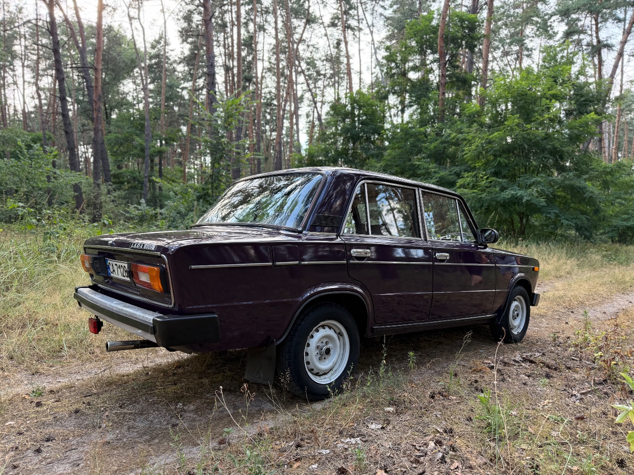 Lada (ВАЗ) 2106 - фото 3