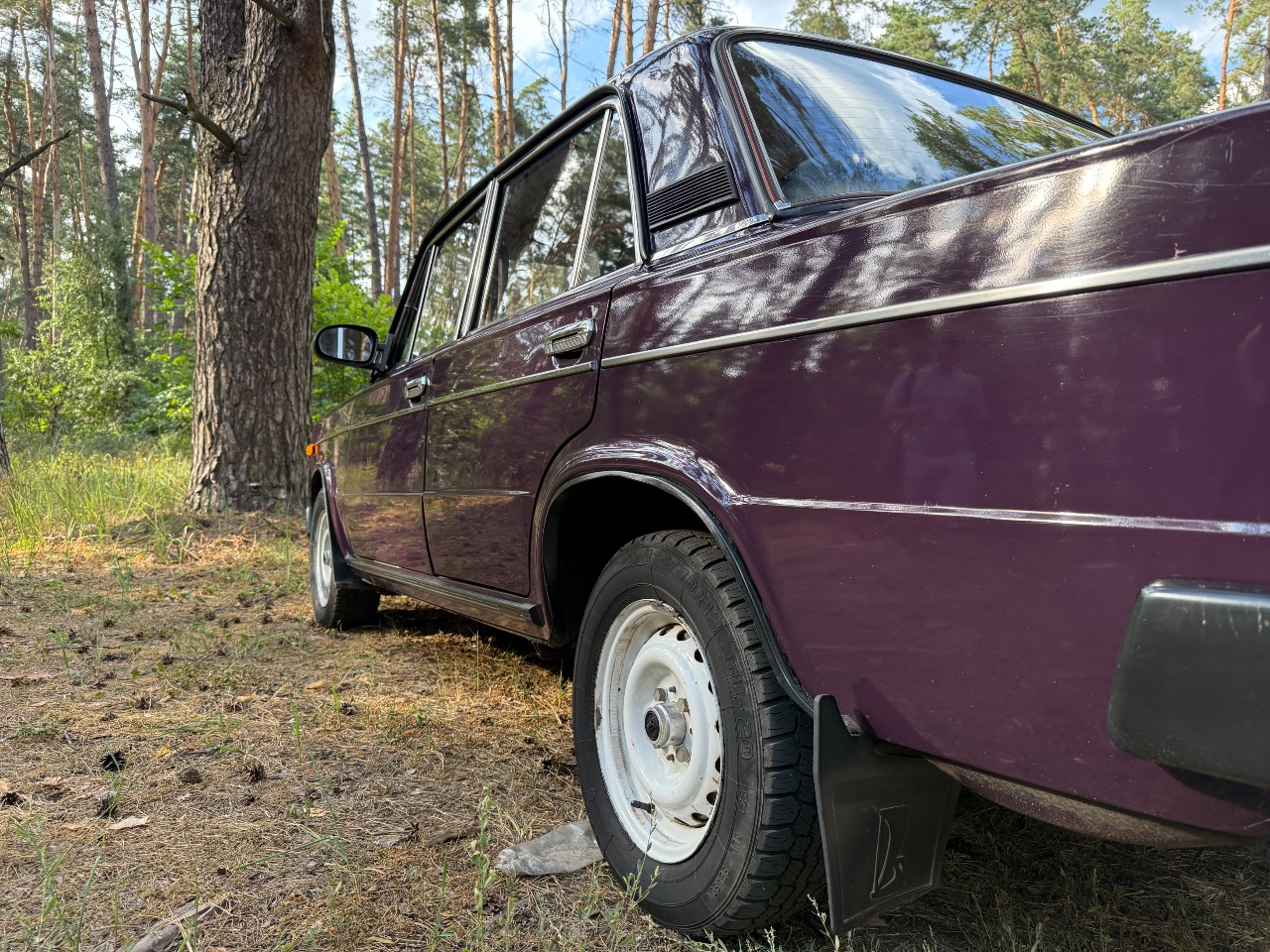 Lada (ВАЗ) 2106 - фото 5