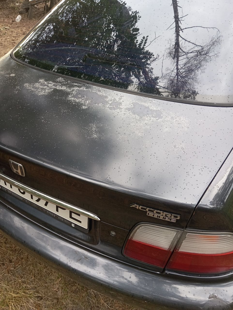 Honda Accord - фото 5