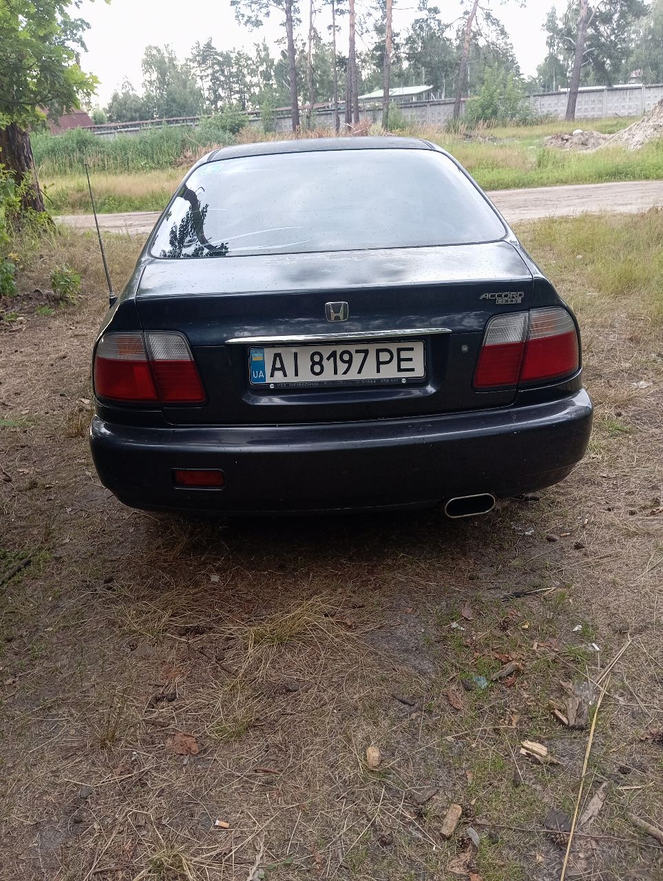 Honda Accord - фото 2