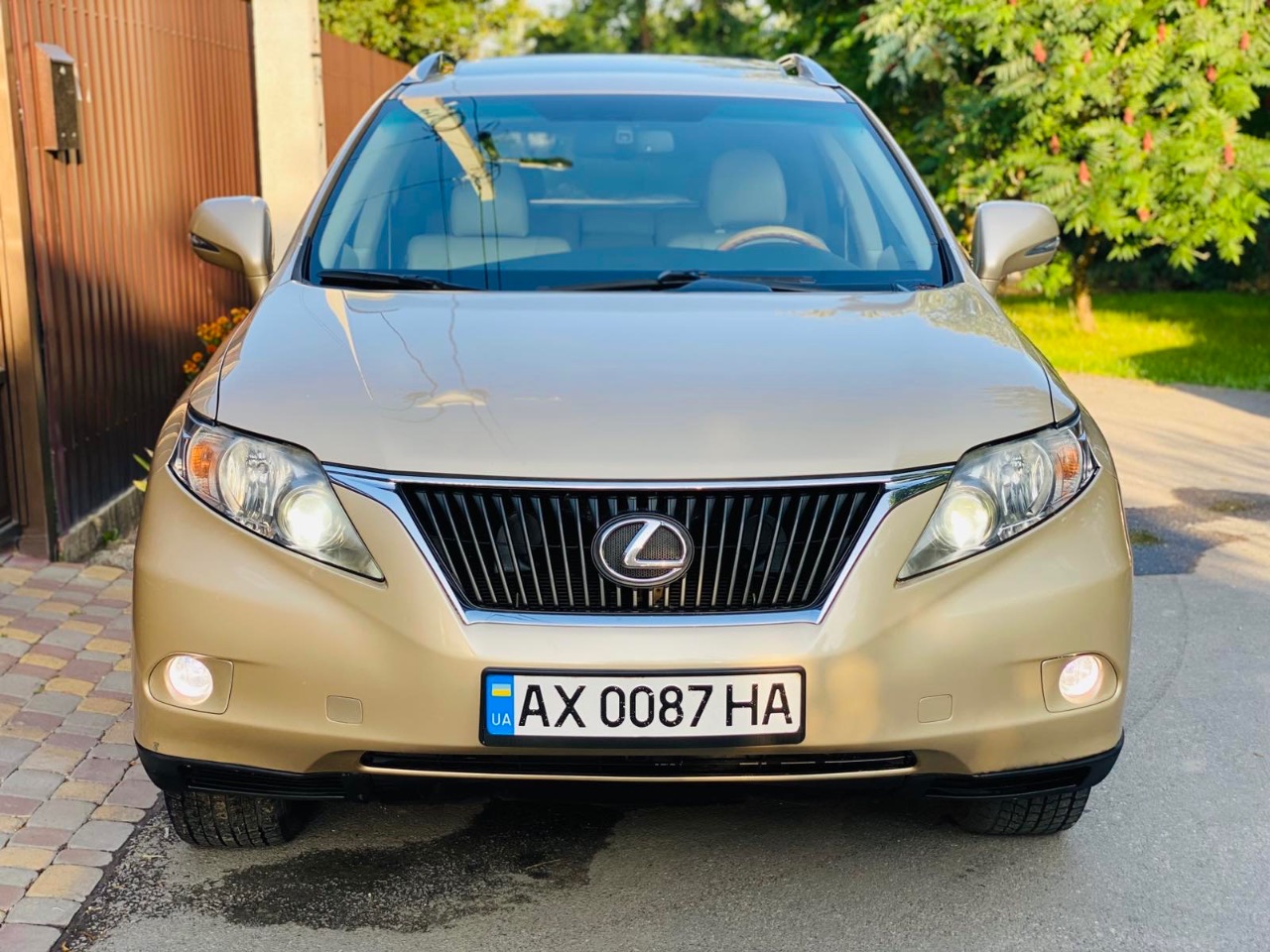 Lexus RX - фото 3