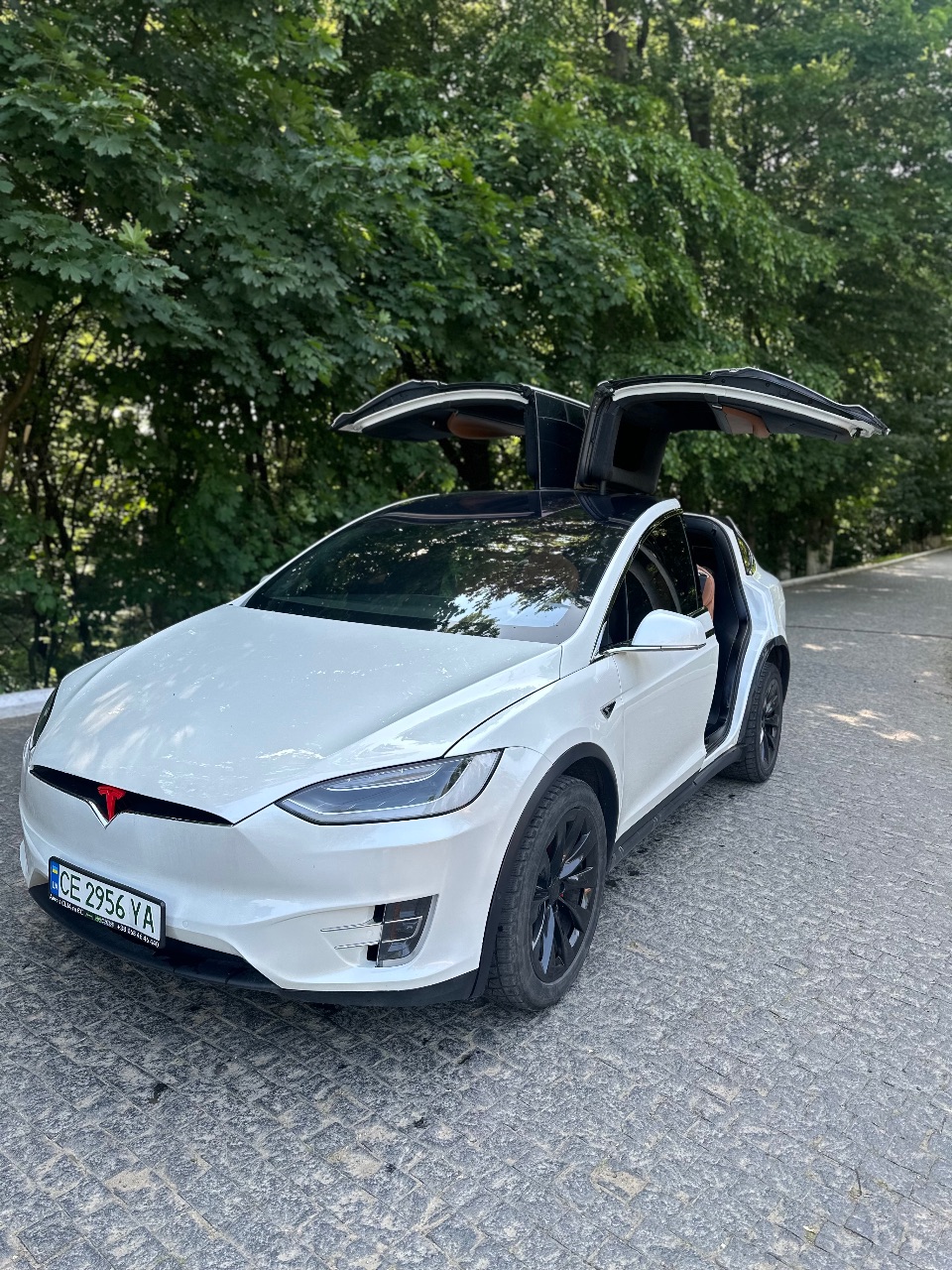 Tesla Model X - фото 1