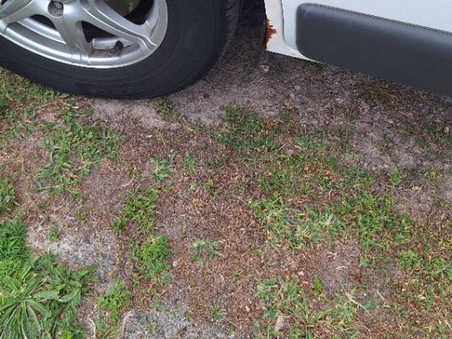 Renault Trafic - фото 4