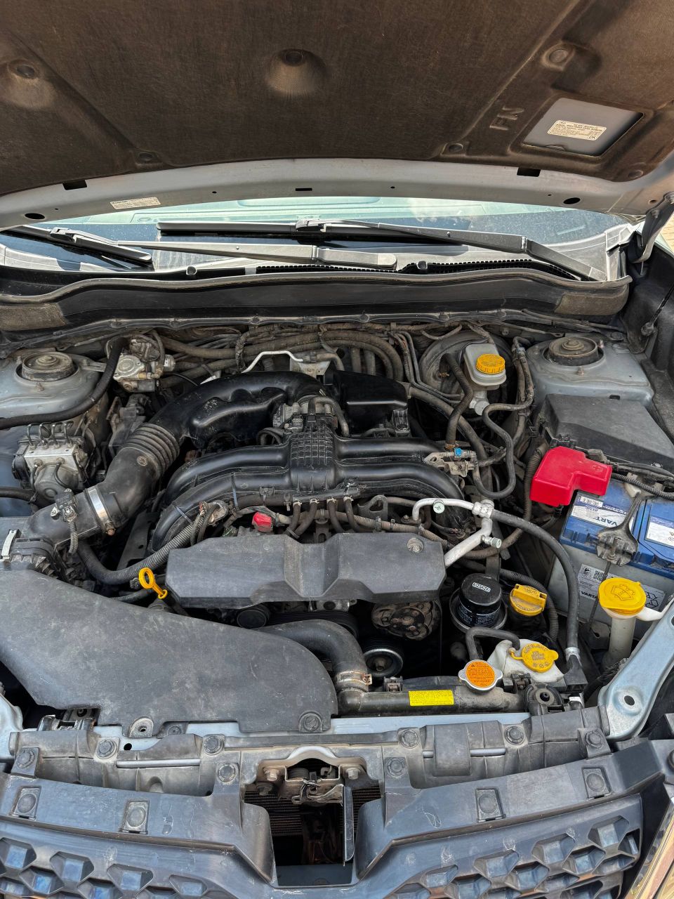 Subaru Forester - фото 22