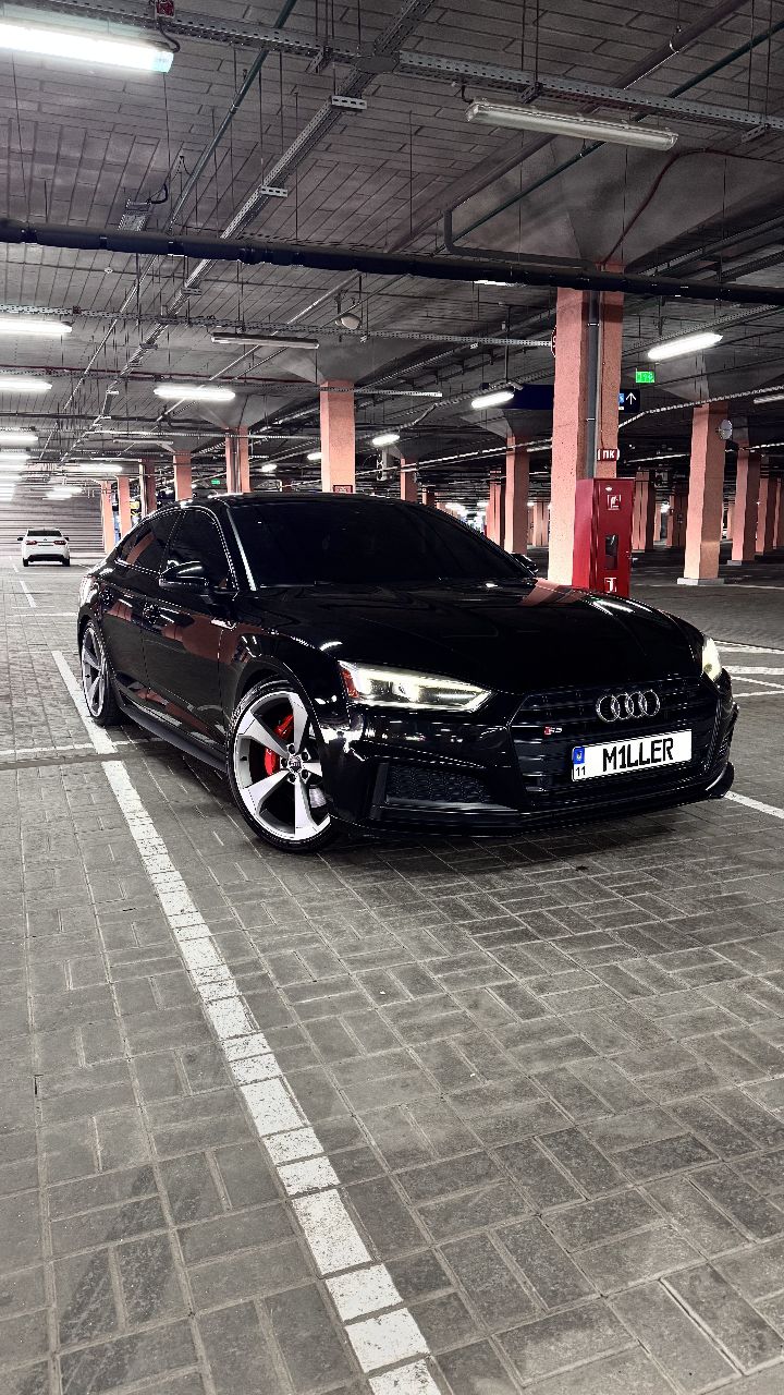Audi S5 - фото 1