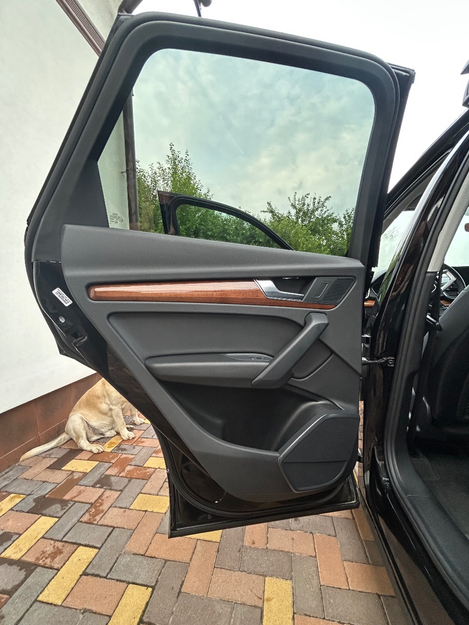 Audi Q5 - фото 12