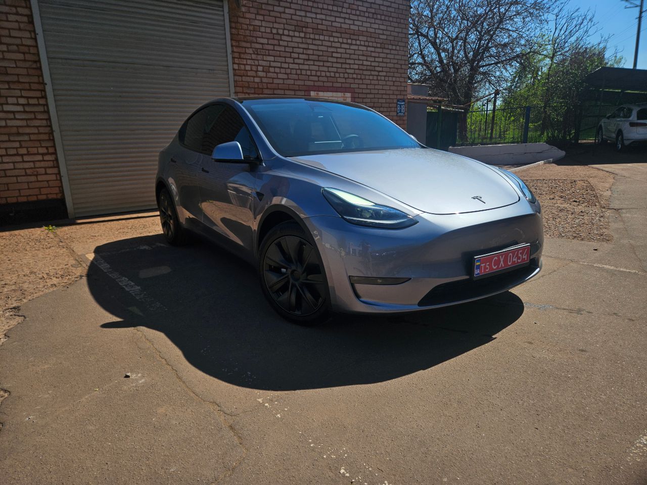 Tesla Model Y - фото 1